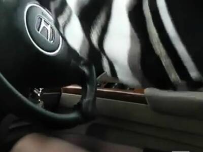 Horny Asian masturbating in her car - drtuber.com