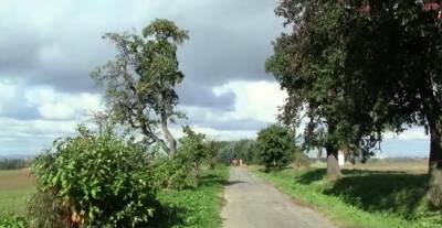 Remarkable barely legal girlie Cindy R gets banged hard - nvdvid.com