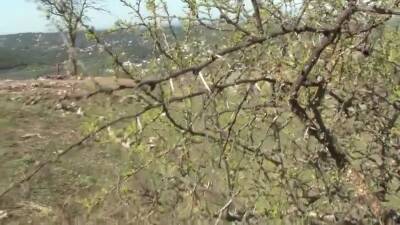 Stepmom Squirting Challenge!!! - Vol 02 - upornia.com