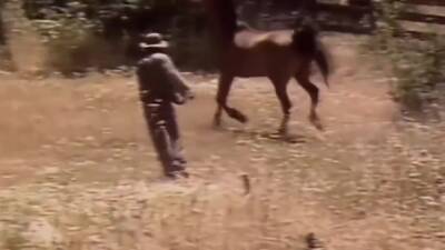 Ambers Desires - upornia.com - Usa