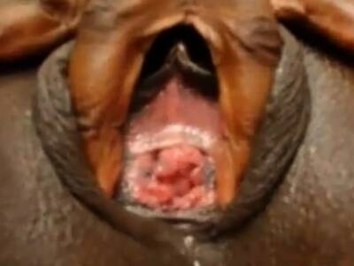 Ebony close up on cam - nvdvid.com