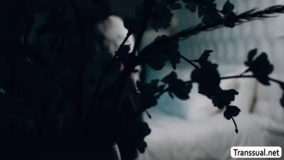 Victoria let TGirl Ariel fucks her pussy - fetishpapa.com