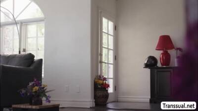 Stepbro visits and fucks his TS stepsisterStepbro visits and fucks his TS stepsister - fetishpapa.com