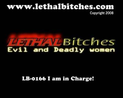 Sexy european in lingerie stockings ass fucked - nvdvid.com