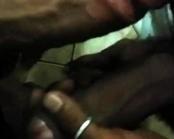 Cock with Cock - drtvid.com