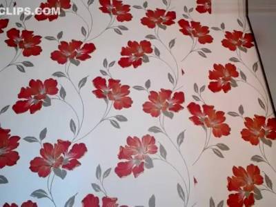 Zia Xo Online Masturbation 27 August 2017 - hclips.com