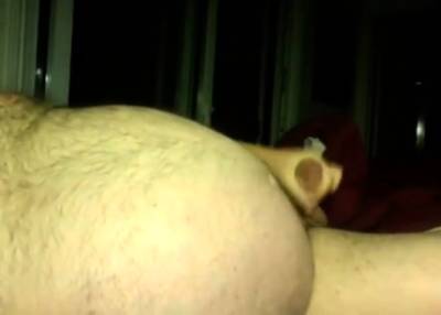 Silver Daddy Bear - drtvid.com