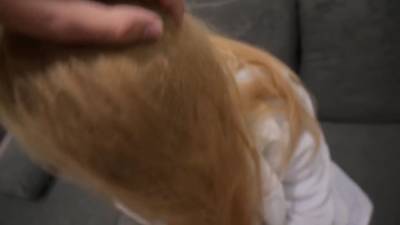 Morningpleasure - Stepsis Napps On The Sofa So I Wake H - hclips.com