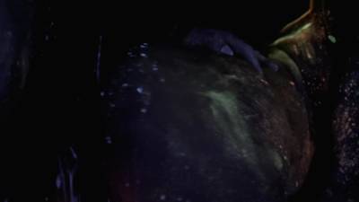 Bwb.18.04.28 Radiant.booty.2 - hotmovs.com