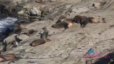 Alexia Anders Virtual Vacation 2 - hotmovs.com