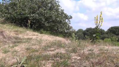 Best Facial Video With Threesomes,milfs Scenes - hotmovs.com