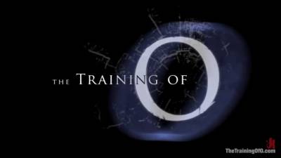 Trainingofo - Calico Day 4 - hotmovs.com