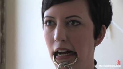 Trainingofo - Calico Day 4 - hotmovs.com