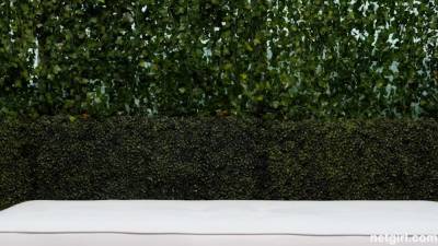 Young Buns - hotmovs.com