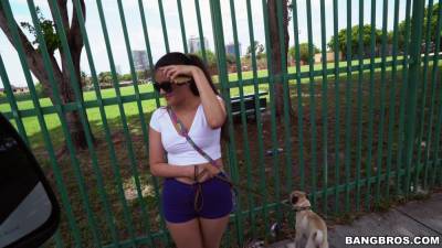 Grand Theft Canine - BangBus - hotmovs.com