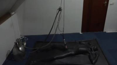 Vacbed Milking - hotmovs.com