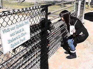 Hitomi Tanaka - Everglades Road Trip - theyarehuge.com