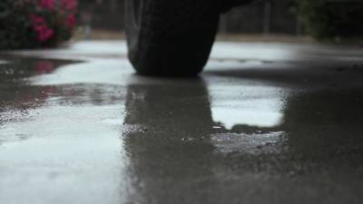 Misha Meets The Master Of Ceremonies - drtvid.com