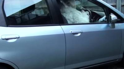 Gran fucked in close up - drtvid.com