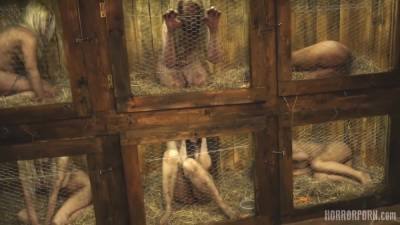 Krolichya Kletka - hotmovs.com