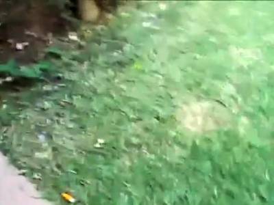 MEXICANOS... FUCK TIME - drtvid.com