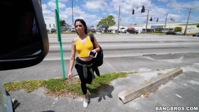 The BangBus Gets Pulled Over - BangBus - hotmovs.com