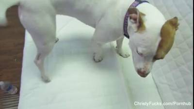 Christy Mack - Behind the scenes with tatted starlet Christy Mack - ah-me.com