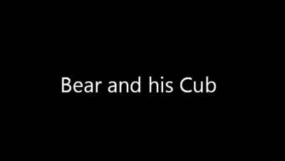 Bear and his cub - drtvid.com