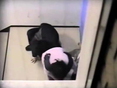 Doggystyle amateur sex in public - drtvid.com