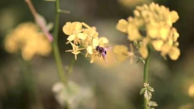 Flexible MILF and teen doing naked yoga - drtvid.com