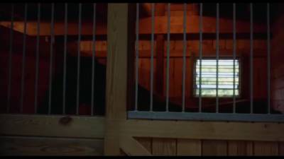 Horny Xxx Scene Vintage Wild Show - hotmovs.com