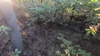 Porno-horror Parody.the Further Into The Forest,the Deeper The Penetration - hclips.com