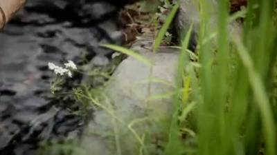 Best Amateur Facial, Bdsm Porn Scene - hotmovs.com - Japan