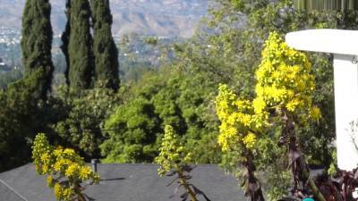 11 Stassi Rossi Squirting Sexbomb - hotmovs.com