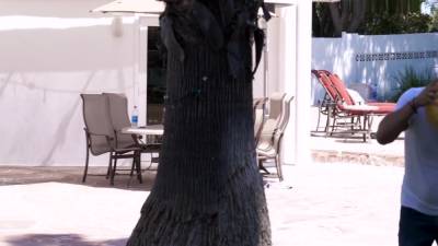 Rebel The Nudist - upornia.com