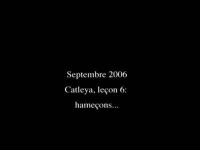 Slave has fishhooks in tits - drtvid.com