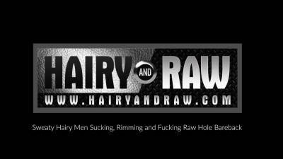 HAIRYANDRAW Hunk Marco Napoli Barebacked By Parker Logan - drtvid.com