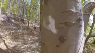 Einsame Wanderin Im Wald Hart Genagelt - hclips.com