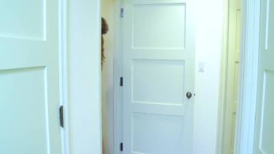 Double Penetrate Date: Big Booty Blonde A.j. Applegate Mmf Threesome - upornia.com