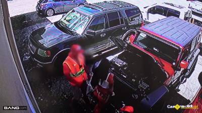 Gotta Dig Wild Crazy Chicks - hclips.com