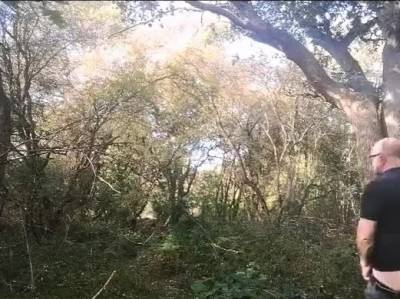 Cruising October - drtvid.com