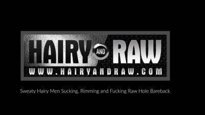 HAIRYANDRAW Saul Leinad And Joel Someone Bareback Hardcore - drtvid.com