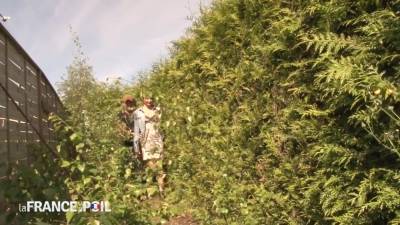 Raunchy French Darkhaired Babe Has Trio In Bushes - hotmovs.com - France