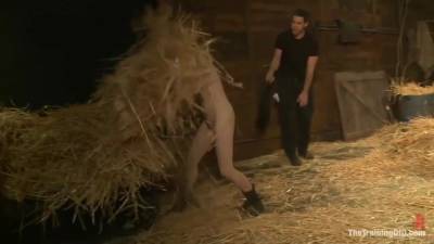 Penny Pax - Penny Pax - Breasty Bdsm Porn Video - upornia.com