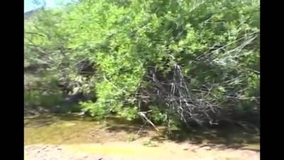 Planet Of The - upornia.com