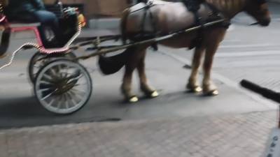 Backpackers In San Antonio Go Straight To Fucking In An Airbnb - hclips.com