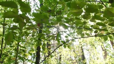 Lovita Fate - Took Pity On Old Man And Fucked Her Outdoors With Lovita Fate - hotmovs.com