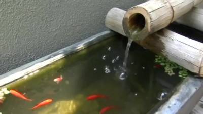 Amazing Can Take It Rough With Jenna Haze And Manuel Ferrara - hotmovs.com