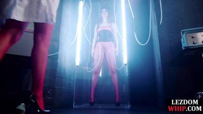 Lezdom queening her new bonded subject - hotmovs.com