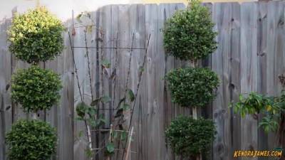 Kendra James And Harley Quinn In Vs Batwoman Fight Game - hotmovs.com